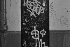 DSC0649