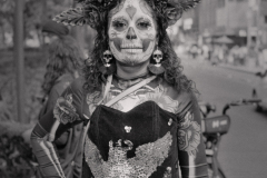 DSC0688